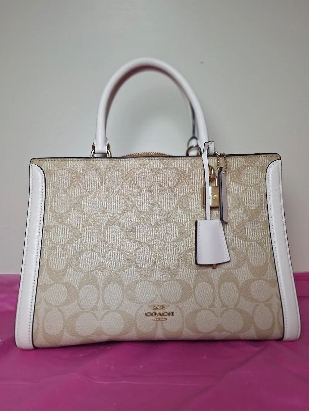Coach ZOE Carryall Signature Canvas